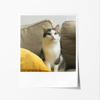 Memoroid Prints
