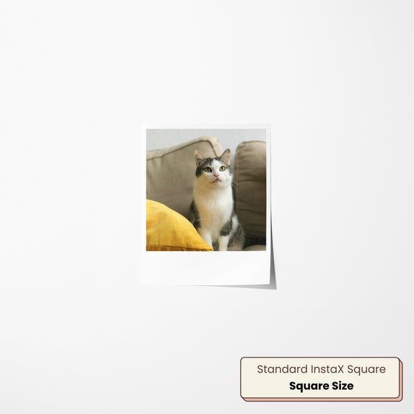 Square Polaroids