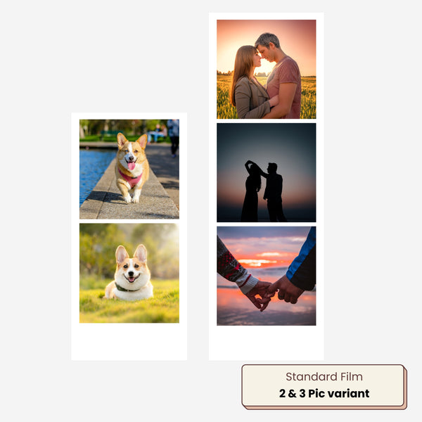 Polaroid Strips